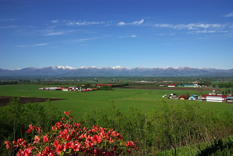 北海道